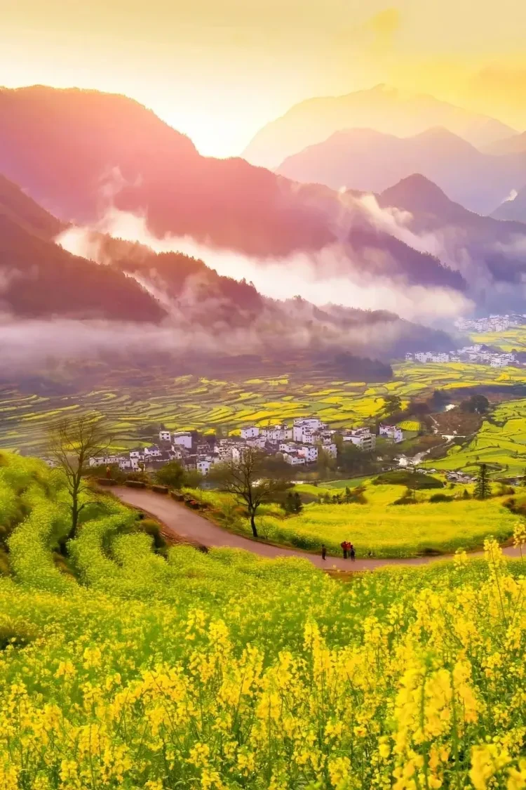 65182afa5014aed5195cea809e525c46-sz_243074