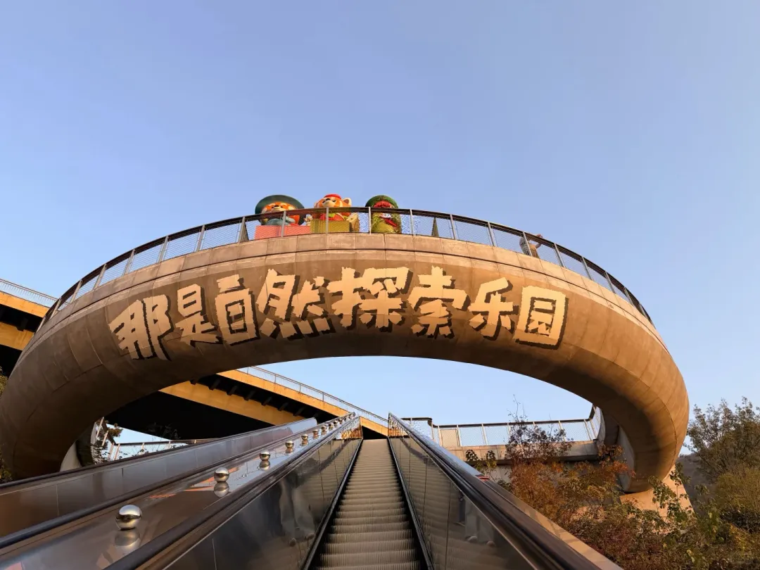 65183fdfe700c034c86b536126f4e5d2-sz_1523342