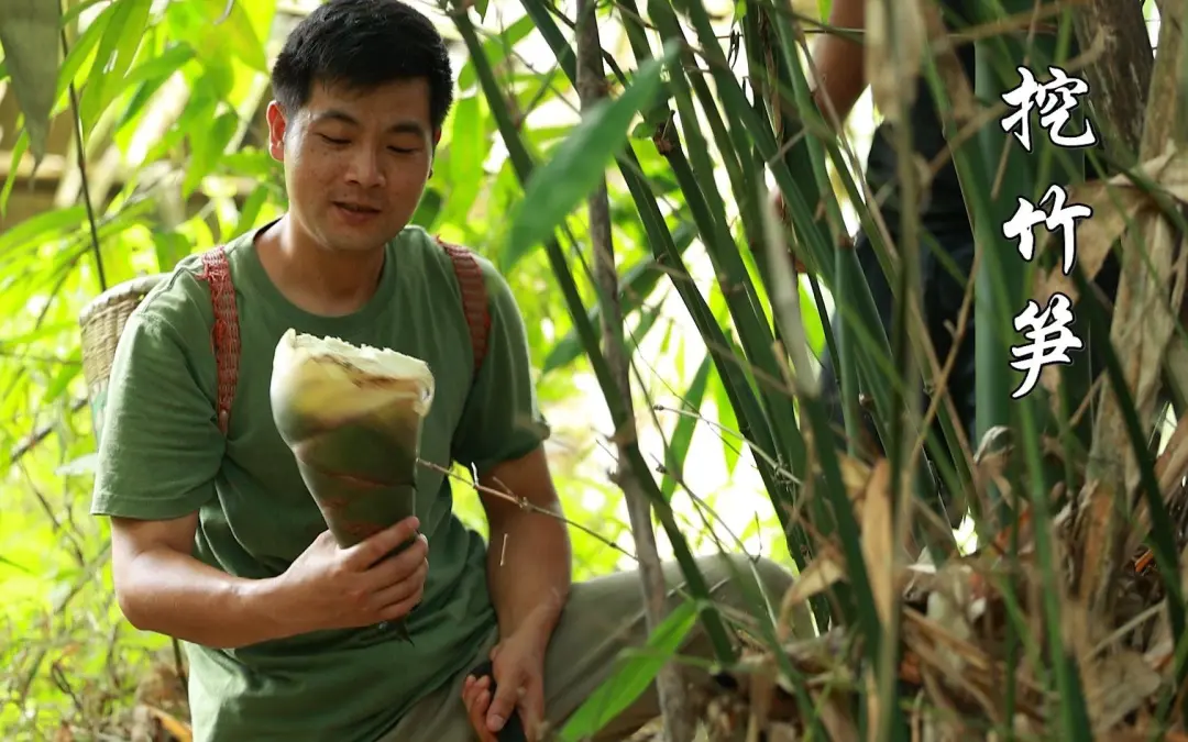 65408e38af6e13a763d4993716ed3221-sz_240026