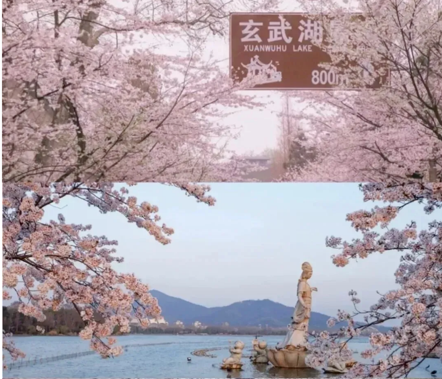 657cacd98078d285b99a2a94bedfdfe2