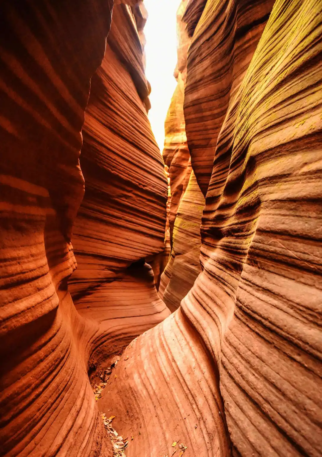 65cccc2ef78f388386c4a2c2b9d0bed1-sz_554977-3