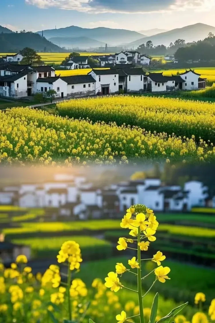 65ce9a287c256b72d05edfc4e11431c8-sz_3392103