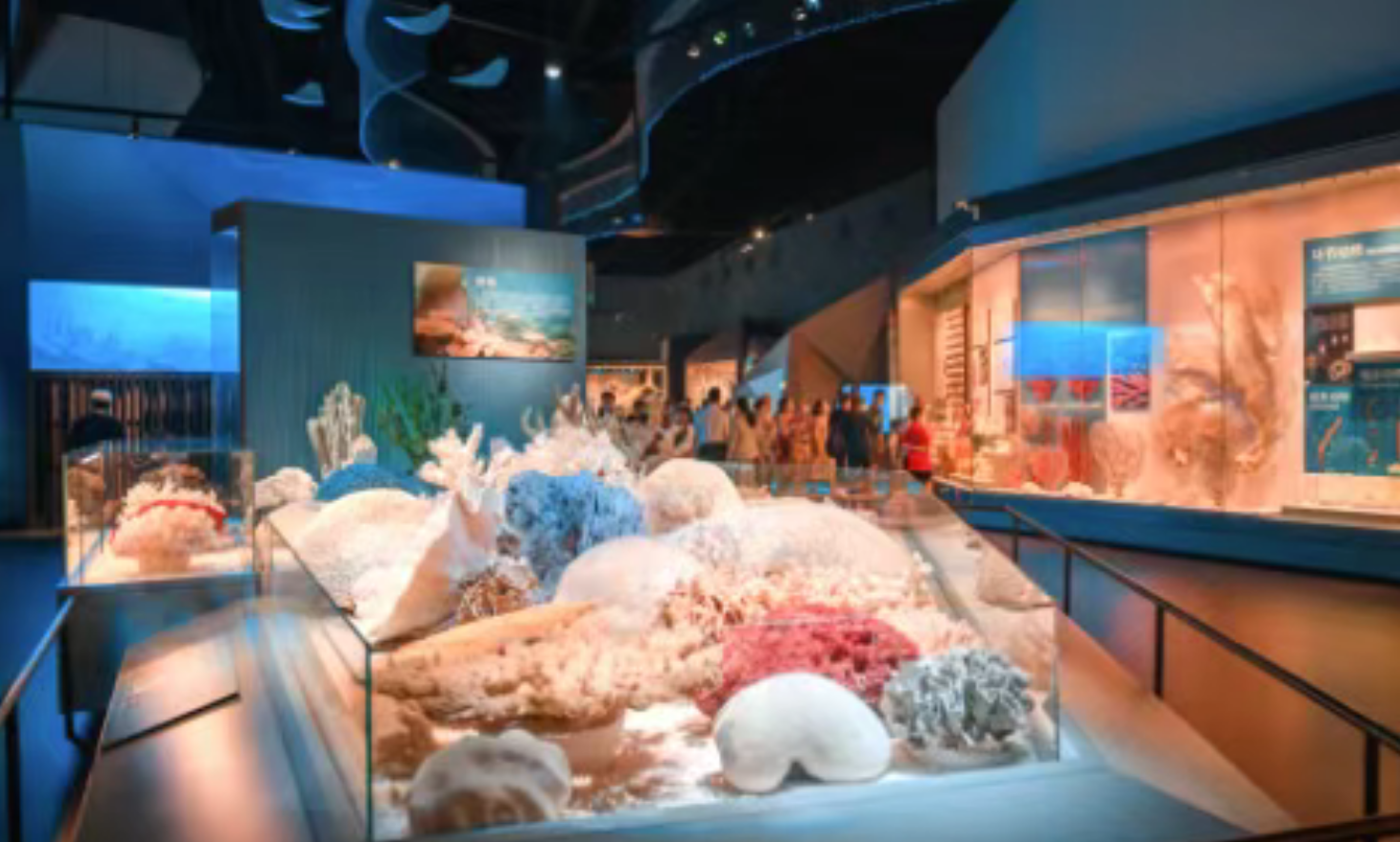 65ef0a24c3abaf7bac37b74b4196022a