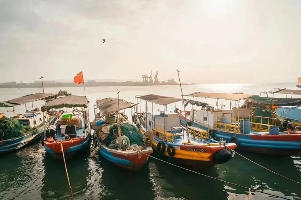 66097992145005a9cacd938120bae484-sz_92377