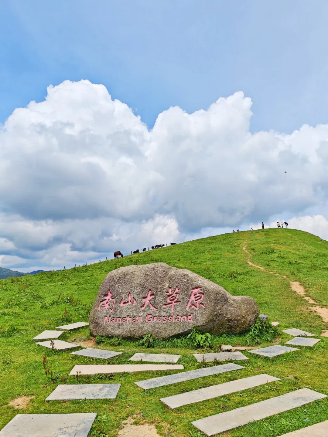 6674d196fea991880cf8440d00538fbe-sz_2298171