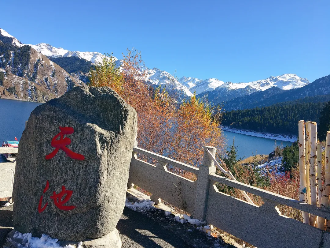 【定制西域】5月29日上海出发，早鸟活动：优惠350元并赠送价值50元的包、帽一套。增游沙雅，打卡独库公路，纯玩0购物，住宿、用餐全面升级，南北疆空调专列17日