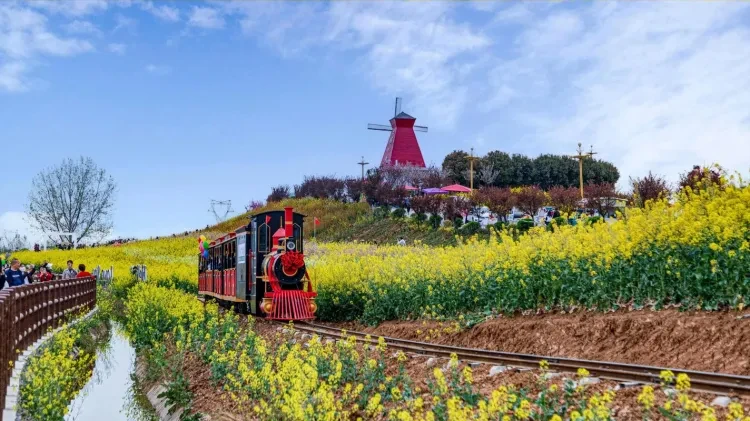 顶配川陕❤2+1保姆车❤汉中油菜花【五星酒店·汉中双卧8日游】5晚携程5钻酒店，豪华自助早，室内泳池，升级4顿特色餐，5A剑门关+5A兵马俑+4A光雾山米仓山+汉中油菜花+兴汉胜境