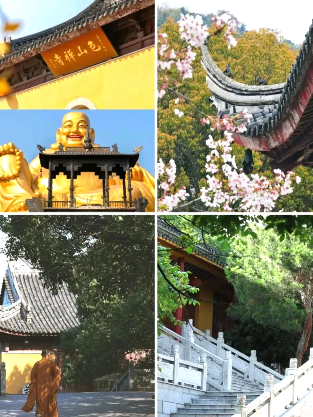 66c0995848000faffcbe34dc4a0f1e9c-sz_1152190