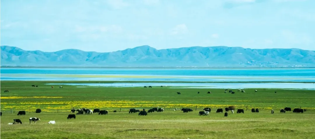 6725e419614b69bdbc13b607d5177788-sz_716128