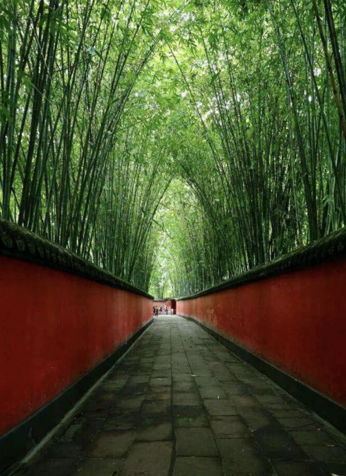 674cf6a671659d00be1919849a31e576-sz_1520053 674cf6a671659d00be1919849a31e576-sz_1520053