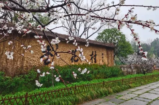 6786171d29f4c19e39df4bbc901b9566-sz_464351