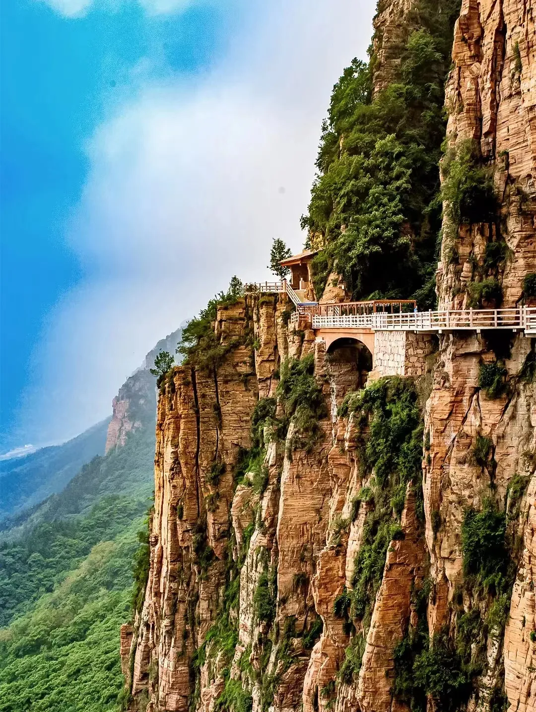 678a4d0a3b1ed332d03022c552fc5235-sz_1096678