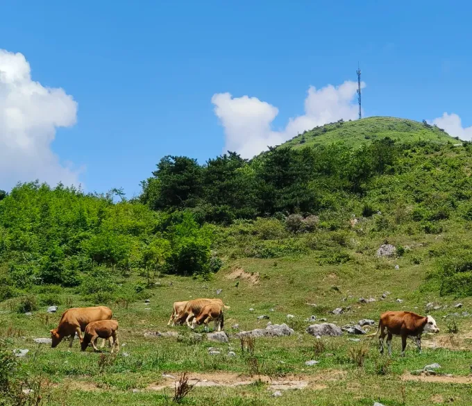 👑【悠游恩施】🫰首款沉浸式旅游 ❤专服务于60-75岁人士