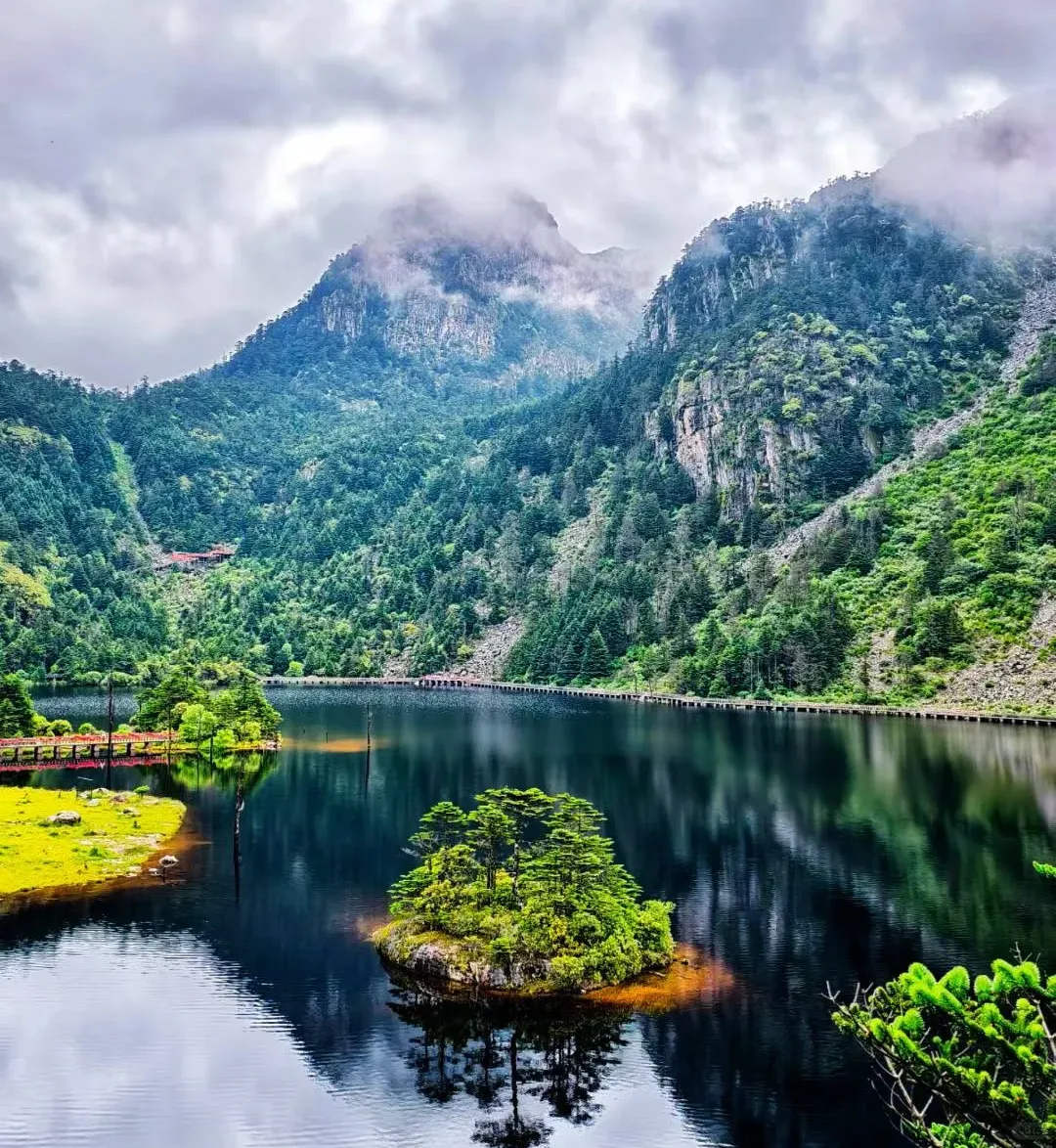 67f63d06948bb82c365fb146fb2318b8-sz_2468601