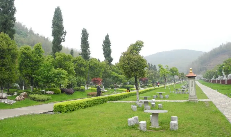 67ff3ba9ddf0a461bf4d7bcae92b3afa-sz_542978-1