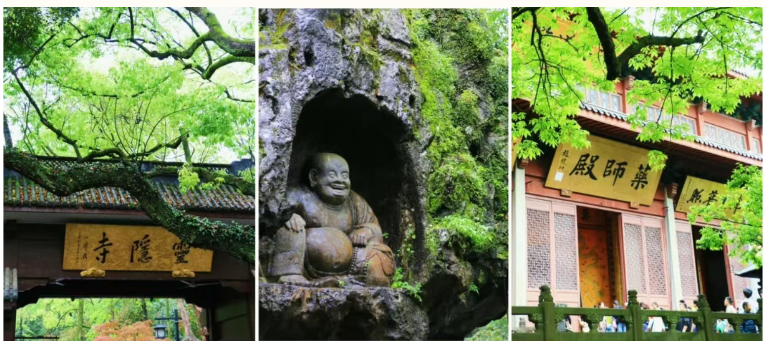 6833a10910a330e8bc8fd78315295669