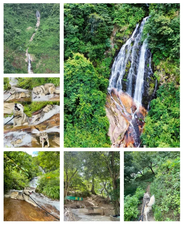 686c3061e9b5c0c8dd8cfe58f7bffa1c-sz_3377666