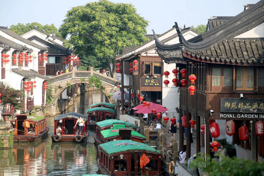 6870c85a126116336086cc3255a3ac6c-sz_530995