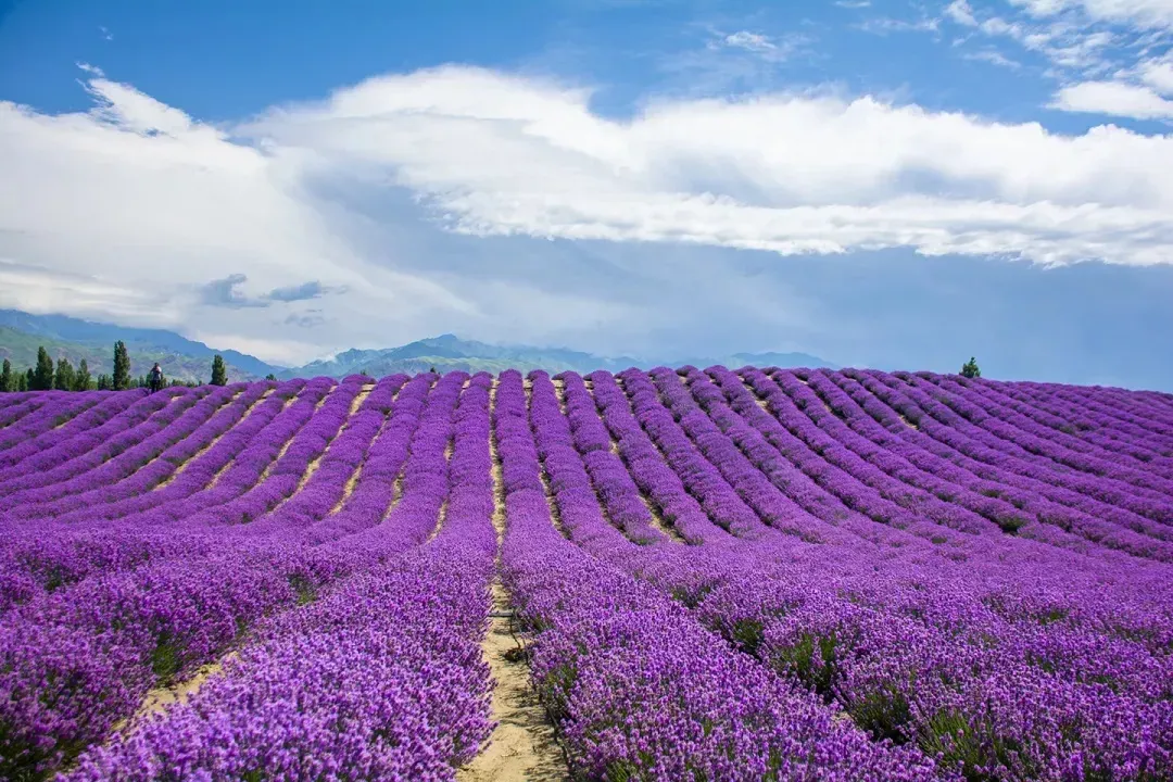 6891f74e3f1f303e0b3e3b7027ef2022-sz_1589381