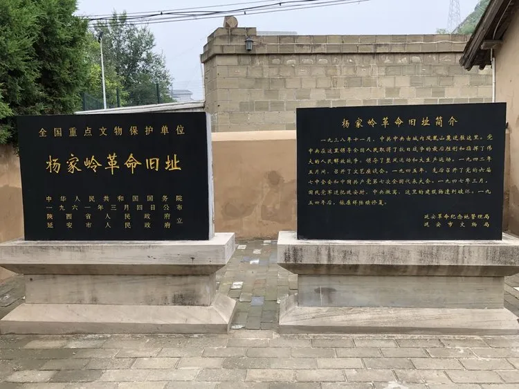 68d1269c655ea93ee7cde59f3689af89-sz_818571