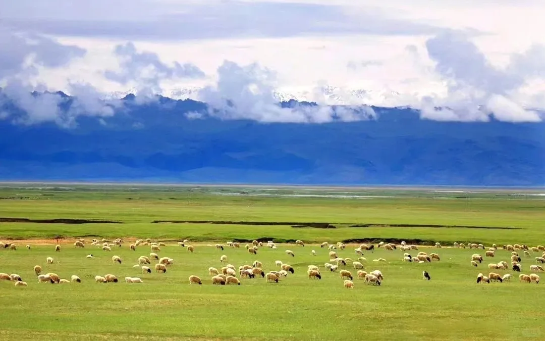 68db8e2c6fa9d1b43e906b48ea7b29a3-sz_452768