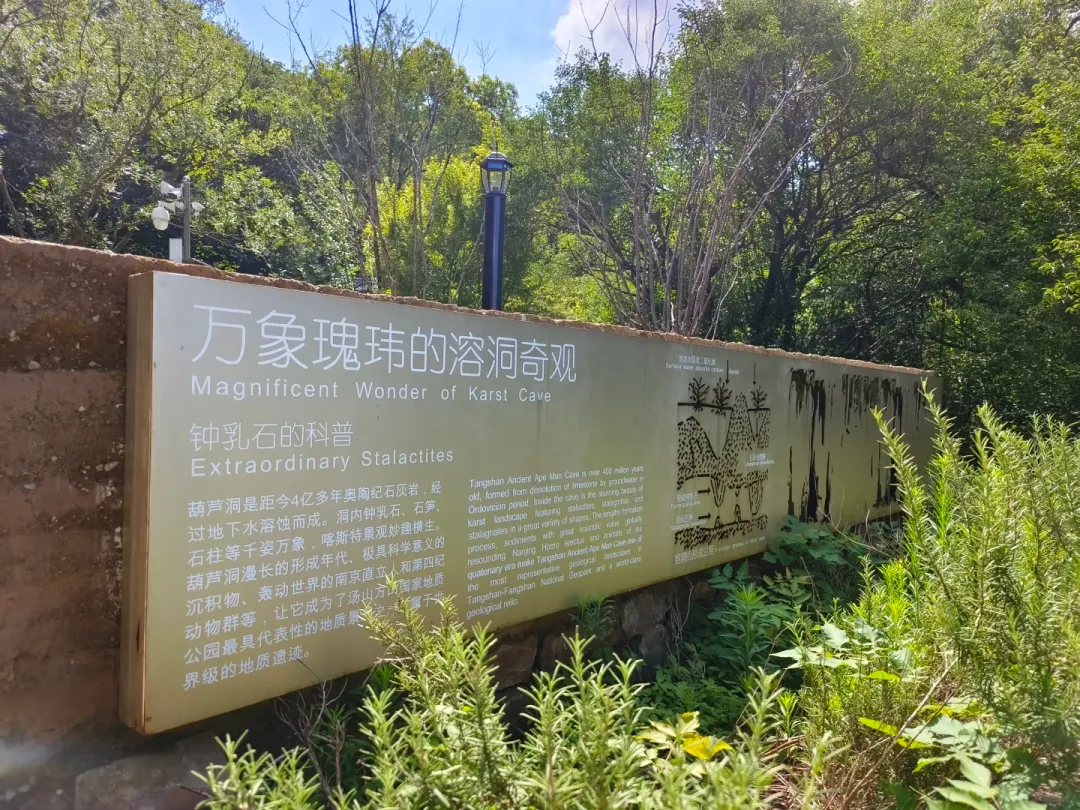 6931343535f2742289974ad96b9091f1-sz_3200314