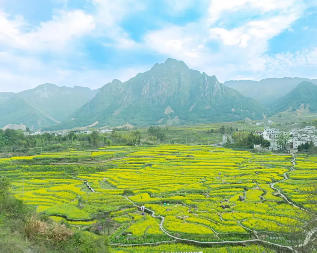 699111e669edf99ade19264ba80838fe-sz_184614