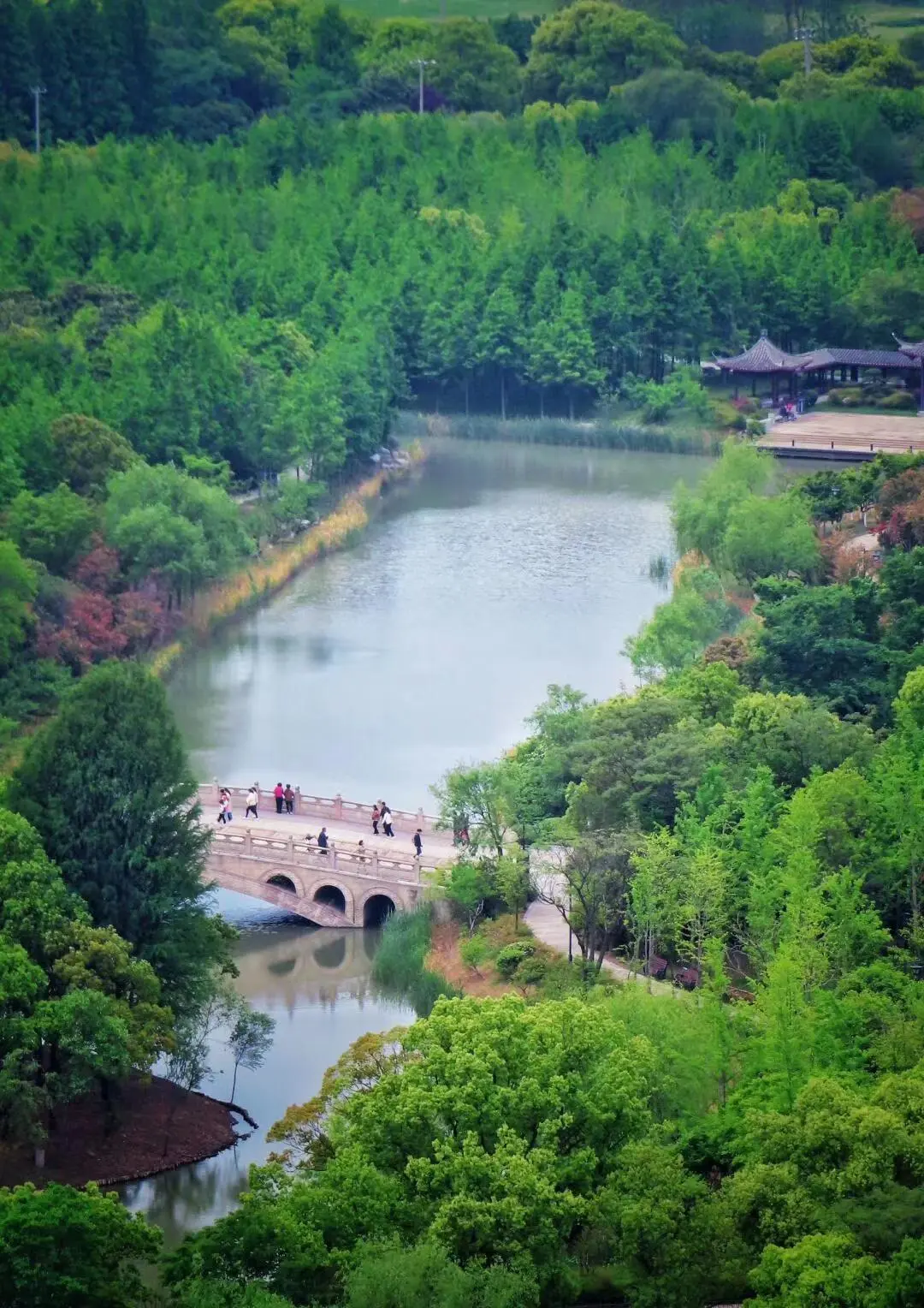 69dfe496042188e0bae913f126dc0340-sz_284536