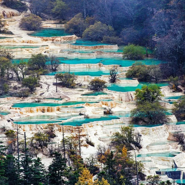 6b668f69092fe8efb07917765fcfb26a-sz_966336-1