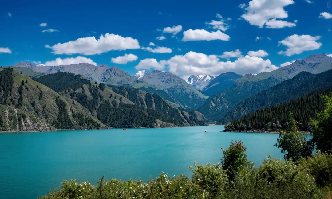 6baaf1ae488831cd4291934074a43b1e-sz_1107572