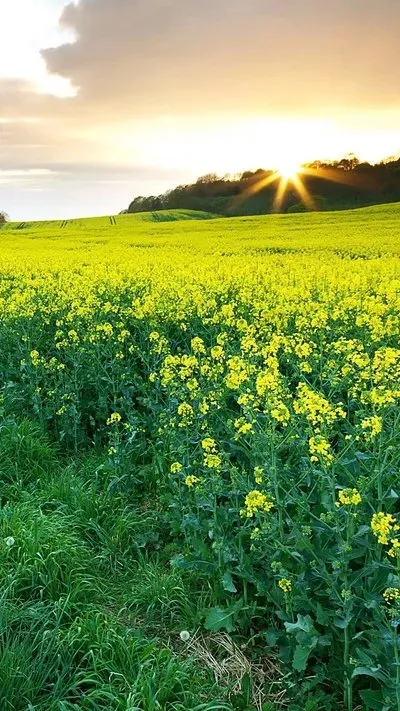 6c13d1c5d6fac79a35deed47bef7cc43-sz_258654 6c13d1c5d6fac79a35deed47bef7cc43-sz_258654