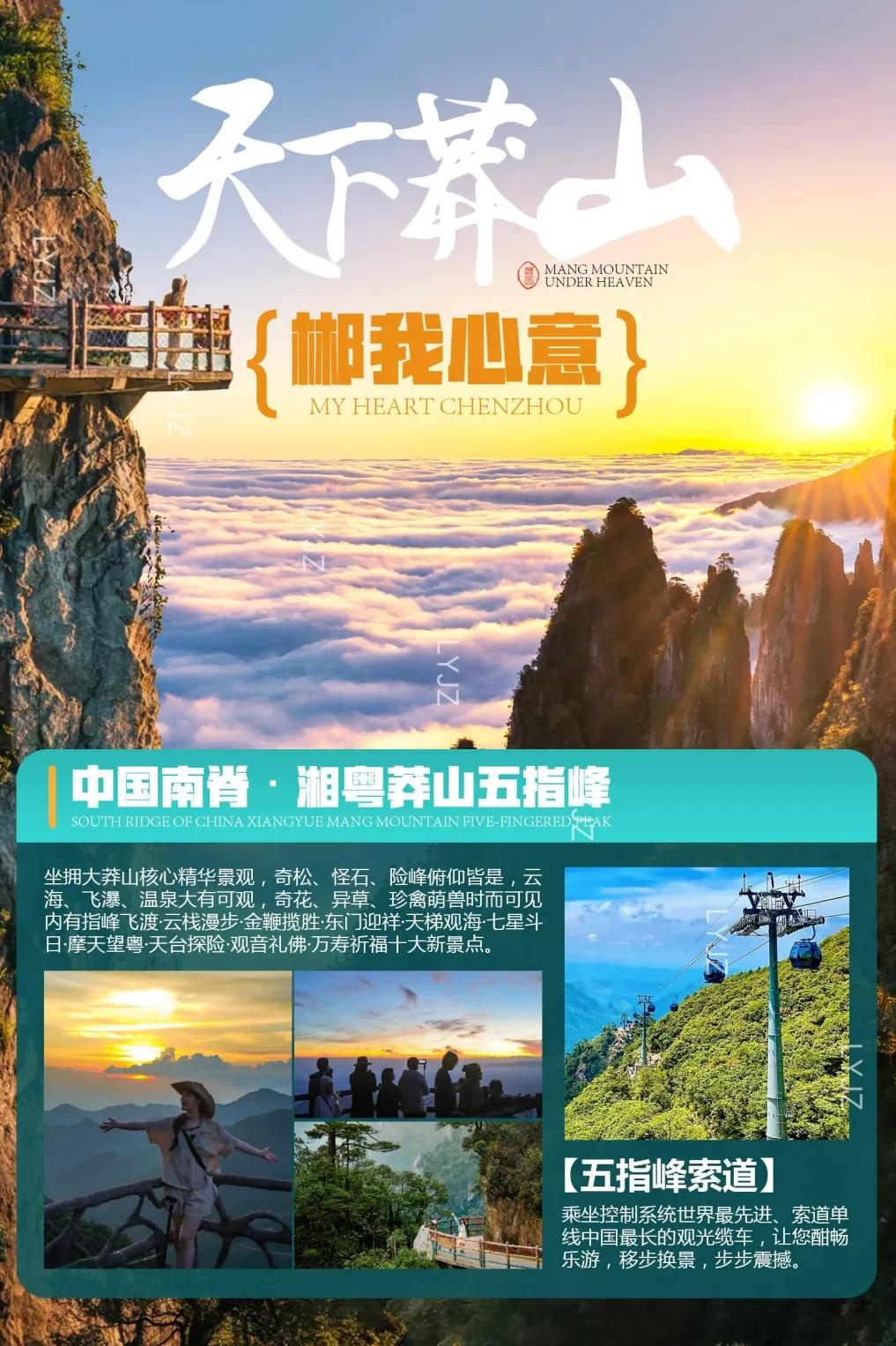 6c211e0d0760866c02967a2c99d0366c-sz_11627220