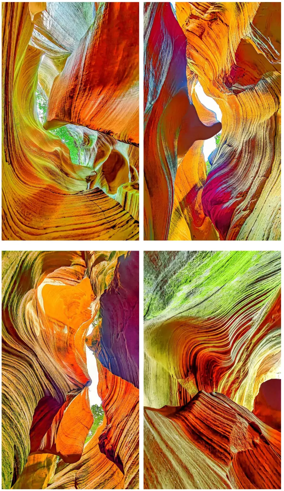 6c34cb9de6ac61fc76812dac764f7ef1-sz_996521