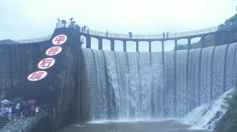 6c3981046422eff2b72877394f9d578e-sz_508461-1