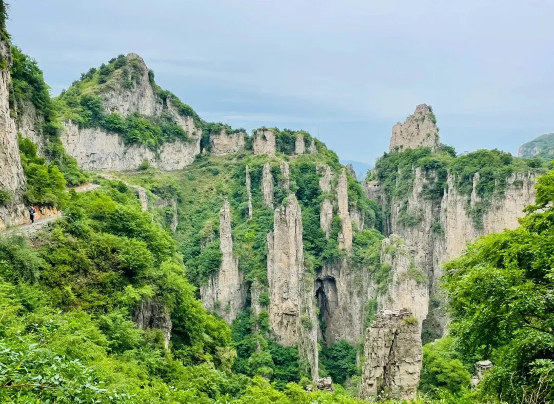 6c59f76fd105024ed3ef603ffd2f9702-sz_345044