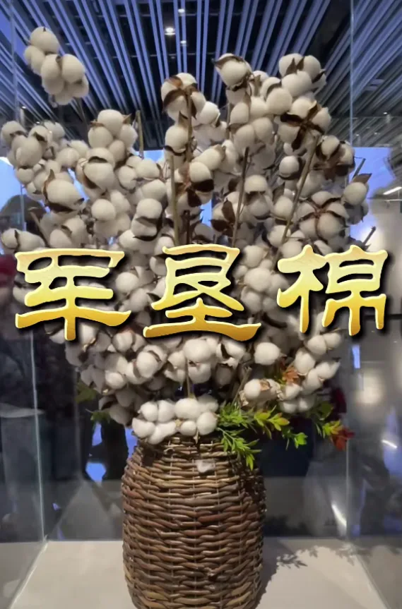 6c9f0abaf00bcd67cc15b4ca095adf1a-sz_718349