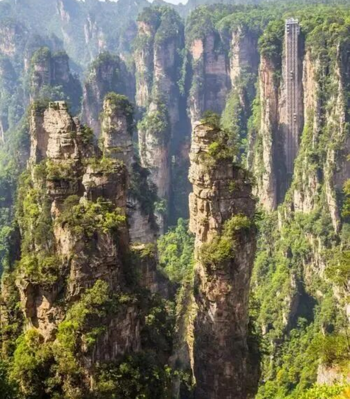 6cf6f73f3e3b13a9ea6439d9dff47405