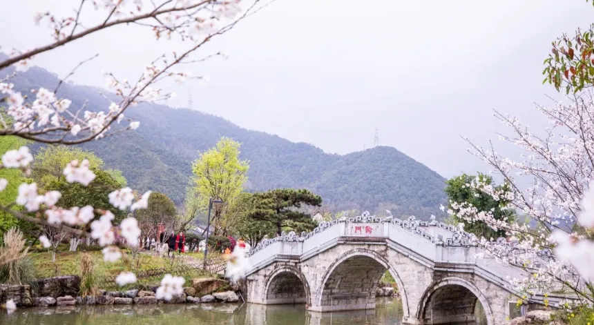 6d2661ba12ca2ca9029894f9d13ffb62-sz_727300-1