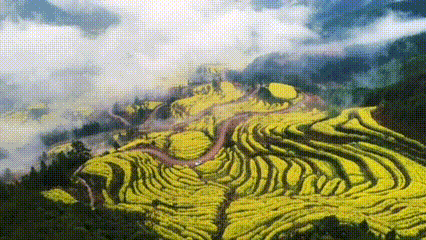 6d455db68812318b1b7abd96919c8d34-sz_2461313