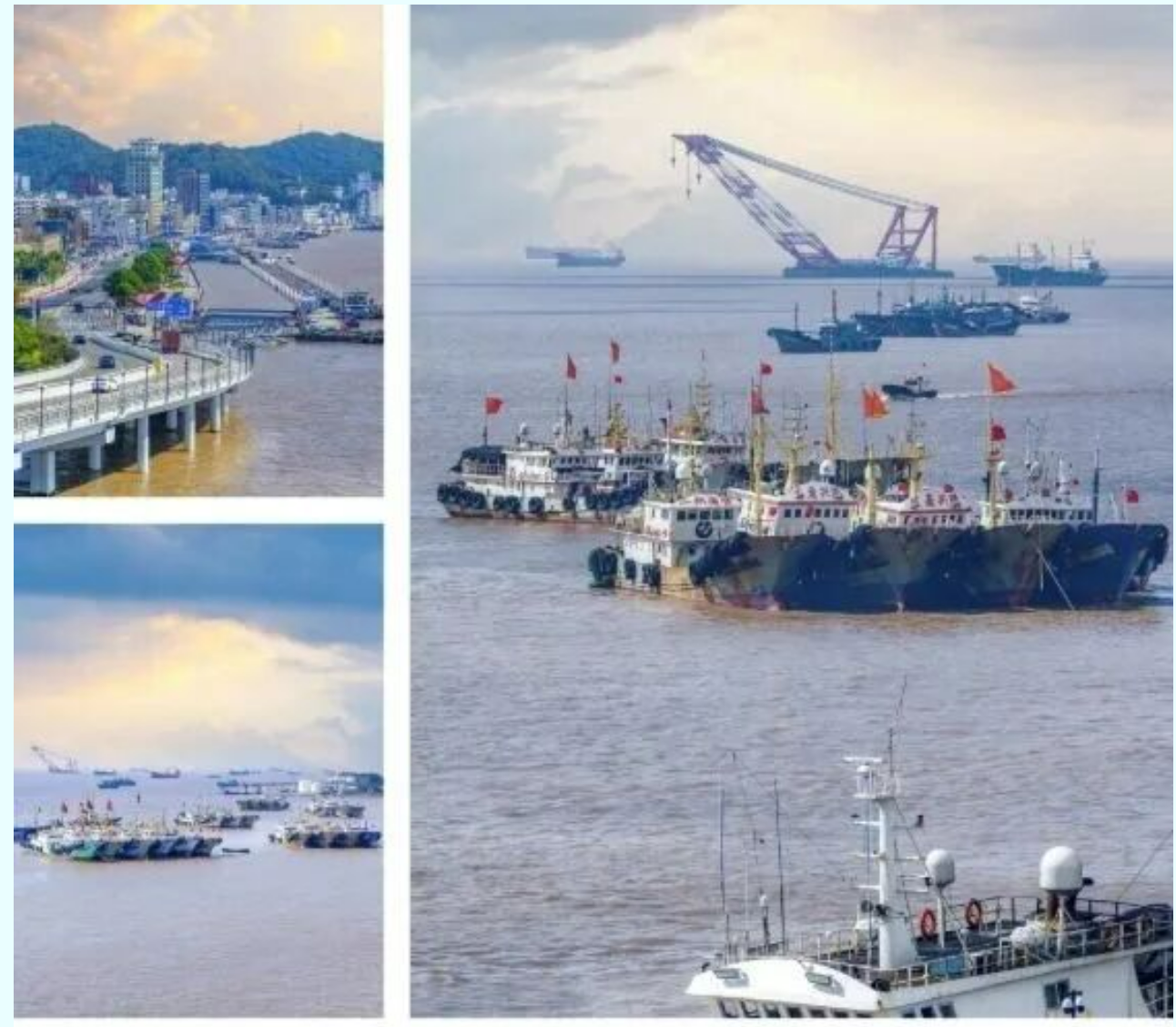 6d81aa224cc558705ec411bd3e2085aa