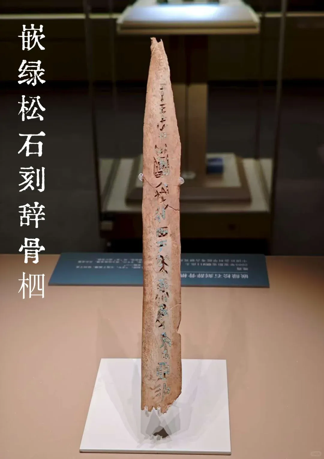 6d92d23570bc032044809739f116291f-sz_991596