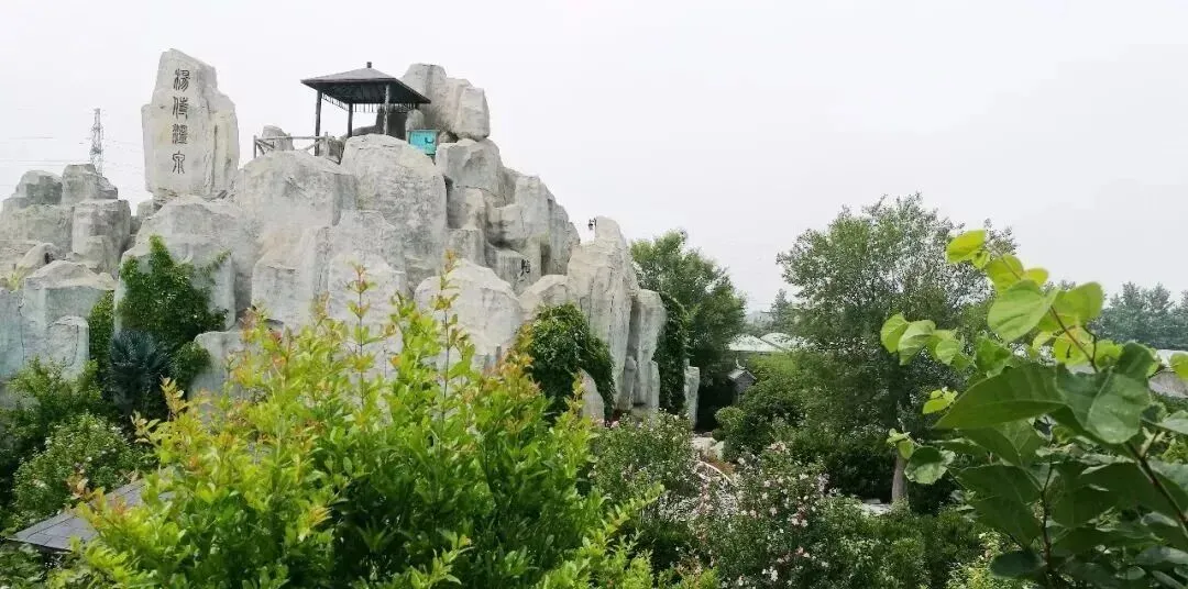 6df77c92e839533503841a9fe8f2fed0-sz_148418 6df77c92e839533503841a9fe8f2fed0-sz_148418