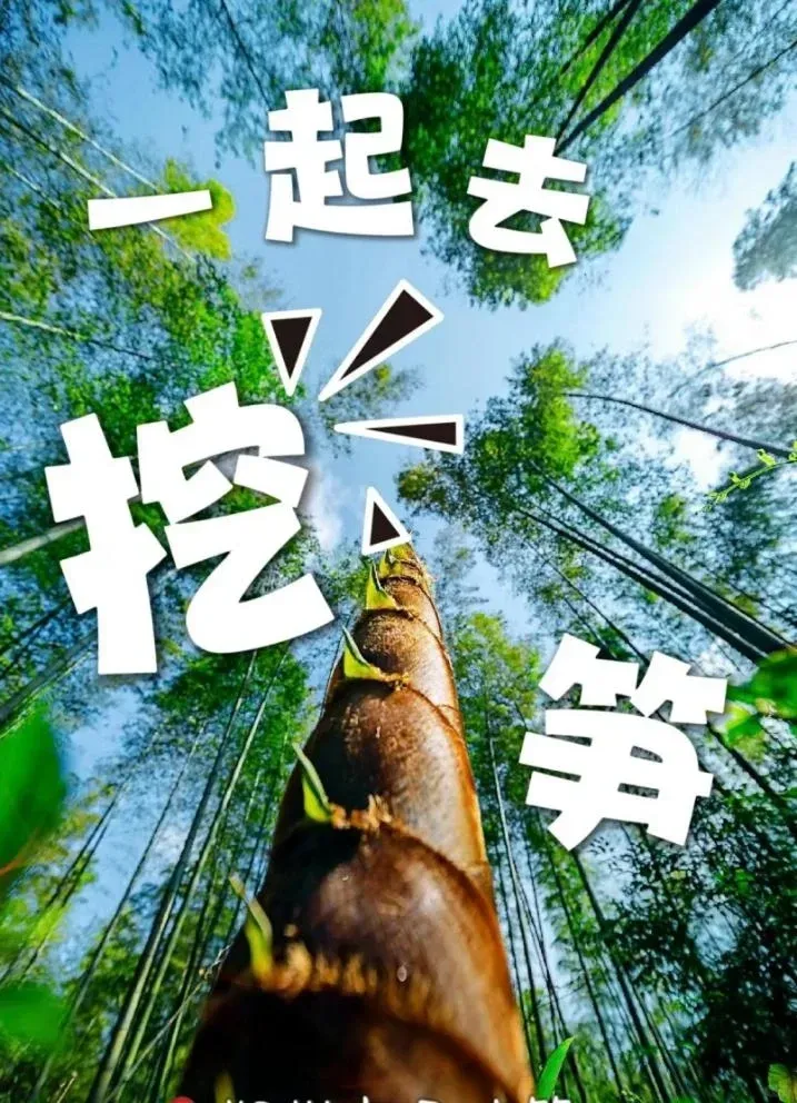 6eb8bd547882517eb8d642973f11ea94-sz_1710376-1