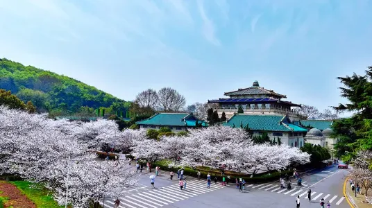 6ee5dc767d2a2fc699e9cbc0163ac089-sz_304436