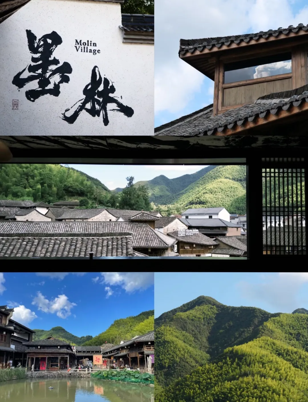 6f064ba254c47588478431707fa6f1b9-sz_504865