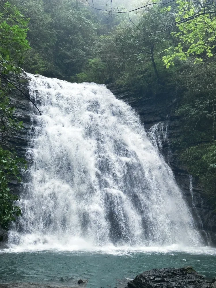 6f0db494b535e25c942b4f9a7acca6ec-sz_3963146