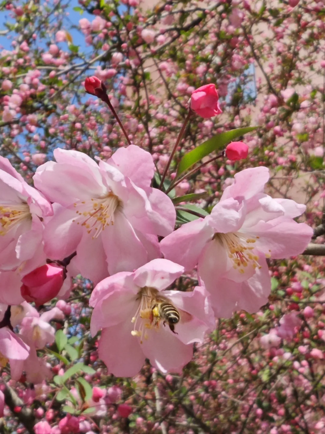 6f275d698e2ef003ed96978e90d6e82f-sz_595228 6f275d698e2ef003ed96978e90d6e82f-sz_595228