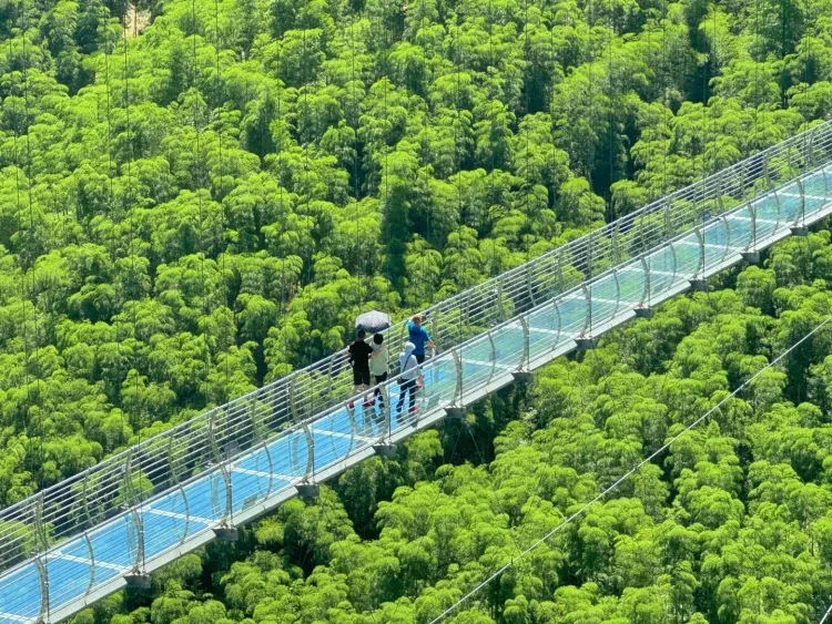 6fe99b44a469a7695e79be81282cd9e0-sz_4543865