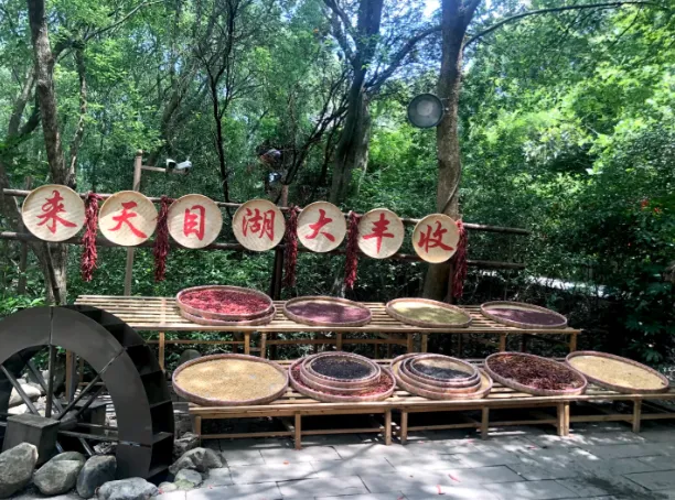 701084e60d70aefd5281aaf66a5f6d1c-sz_643391