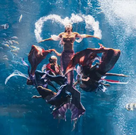 70128ae053dda9d01610e439902c12c6-sz_830961